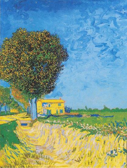 Vincent Van Gogh Avenue at Arles with houses Norge oil painting art